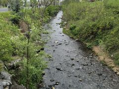 -羊山湖公园
