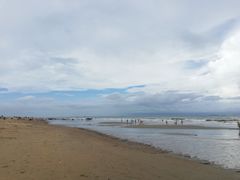 -东海岛旅游度假区