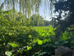 -莲池书院博物馆