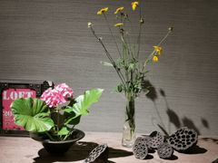 -17号蓝滩咖啡馆(武夷山店)