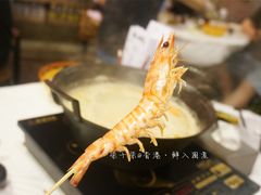 -鲜入围煮花胶鸡海鲜火锅