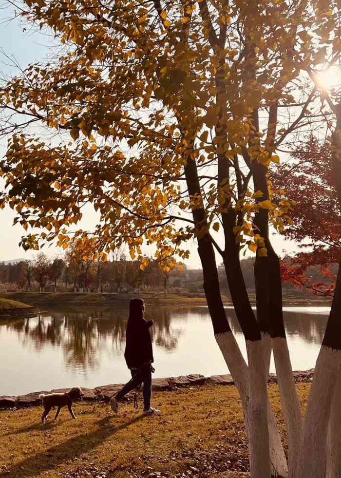 佛手湖山庄-"环境很好,菜肴也美味,值得一去."-大众点评移动版