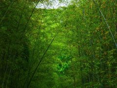 -穹窿山景区