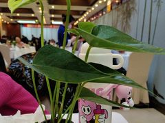 -眉州东坡(亚运村店)