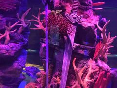 -沈阳海洋探索中心