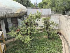 -青藏高原野生动物园