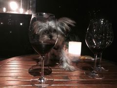 -戏迷-成都群光君悦酒店