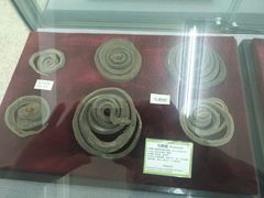 -北京中医药大学-中医药博物馆
