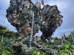 -奥兰多迪士尼动物王国乐园