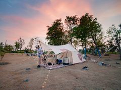 -春花秋色城市公园