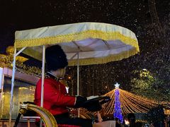 -锦江乐园舞狸花花游园会(夜场专享)