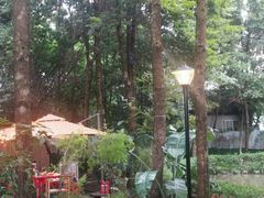 -二荆条·蜀鲜汇城市森林火锅