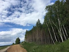 -塞罕坝国家级自然保护区