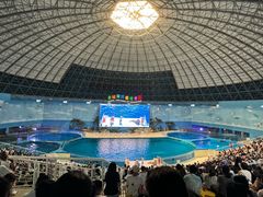 -泉城欧乐堡海洋极地世界