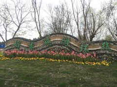 -桤木河湿地公园