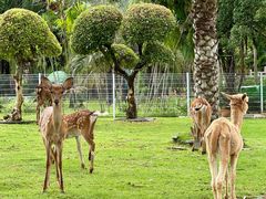 -东南花都花博园