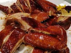 吊烧鸡-申粤轩酒楼·三十年粤菜经典(丁香花园店)