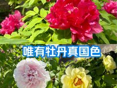-太阳宫公园