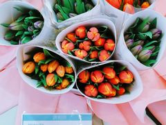 -盒马鲜生(皇庭广场店)