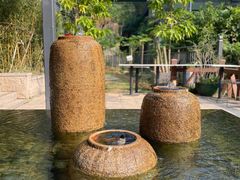 -深圳仙湖植物园
