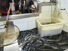 -都江堰石锅鱼