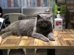 -小时光咖啡馆(开森度假森林店)