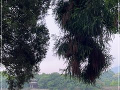 -都江堰景区