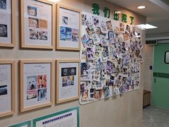 -半岛宠物医院24小时·内窥镜·牙科·碎石中心(府城大道店)