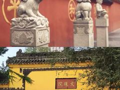 -龙抄手(文殊坊店)