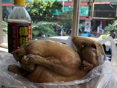 -吉英盐焗鸡(文中路店)