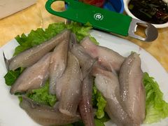 -金砂阿洲鱼册店