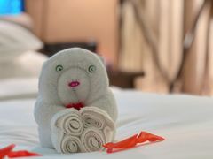 -北京索菲特大酒店