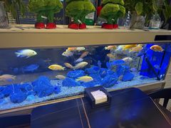 -黄鱼炙夜·烧烤·小龙虾(星荟广场店)
