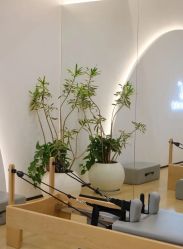-素简女子塑形·健身普拉提