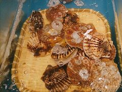 -火舞泰·泰式海鲜火锅餐厅(世纪城店)