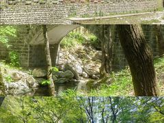 -牛背梁国家森林公园