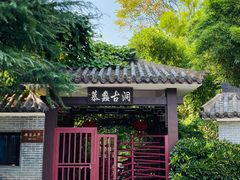 -陶祖圣境风景区