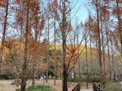 -国家植物园南园