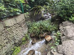 -广州神农草堂中医药博物馆