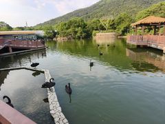 -无锡动物园·太湖欢乐园