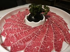 -洪氏嗨捞·猪肚鸡火锅(阳光天地店)