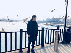 -大连圣亚海洋世界