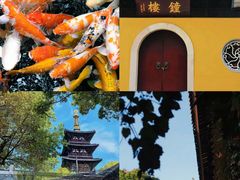 -西园戒幢律寺