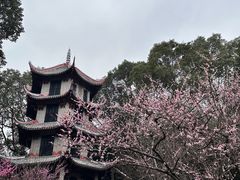 -成都杜甫草堂博物馆