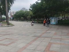 -顺峰山公园