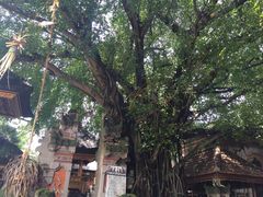 -乌布德传统市场