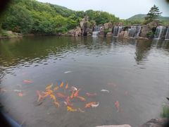 -白马涧龙池景区