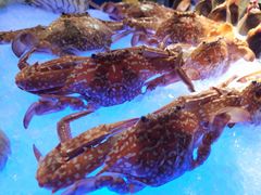 -广州花园酒店·凌璇阁旋转餐厅CAROUSEL360