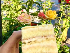 拿破仑-北京稻香村(五道口店)