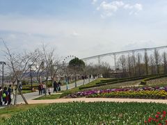 -金卉庄园